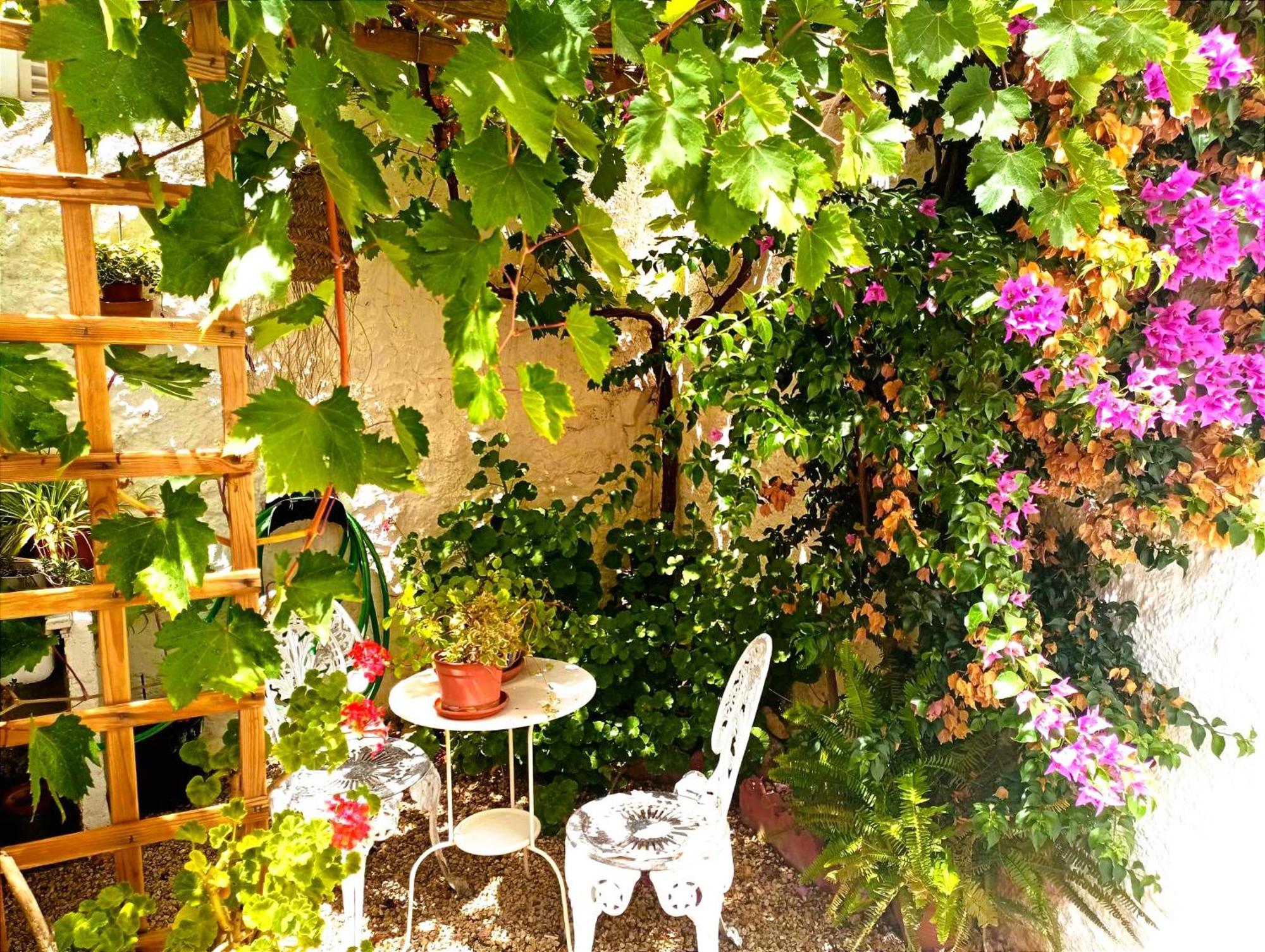 Casa Shyshka Country Cottage Periana Exterior photo